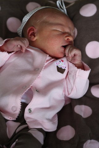 [IMG_5256_4765%255B2%255D.jpg]