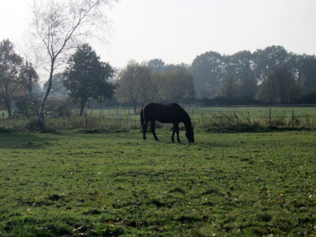 [IMG_1091%255B3%255D.jpg]