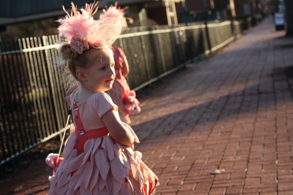 [IMG_6539_1439%255B3%255D.jpg]