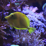 Im Aquarium in Skansen. Stockholm - 3 Tag 256.jpg