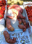 These sweet potatoes were bright orange inside and unbelievably creamy.