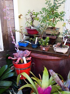 P9087248 P9087248