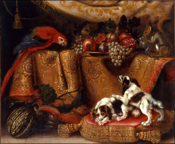 nature morte nature morte