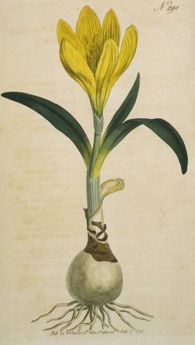 [clip_image011%255B3%255D.jpg]