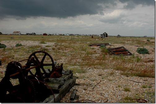 dungeness 057