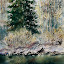 Icicle Creek