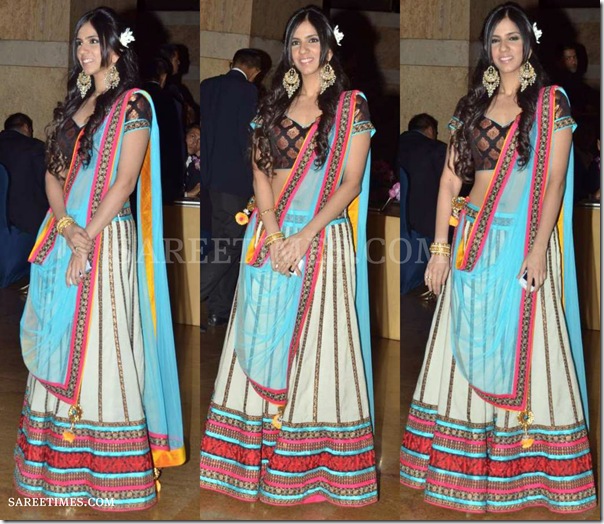 Nishika_Lulla_Saree