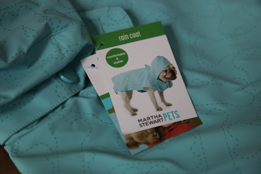 The Frenchies are even on PetSmart clothing labels, although Sharkey looks really silly.