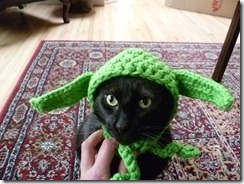 yoda crocheted hat