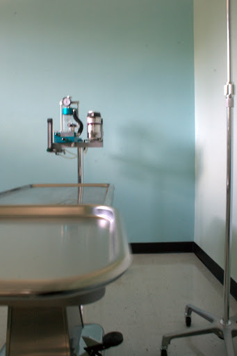 The surgery at the SAAF clinic will aim to complete at least 35 surgeries a day. (Photo by: Kenrick Nobles)