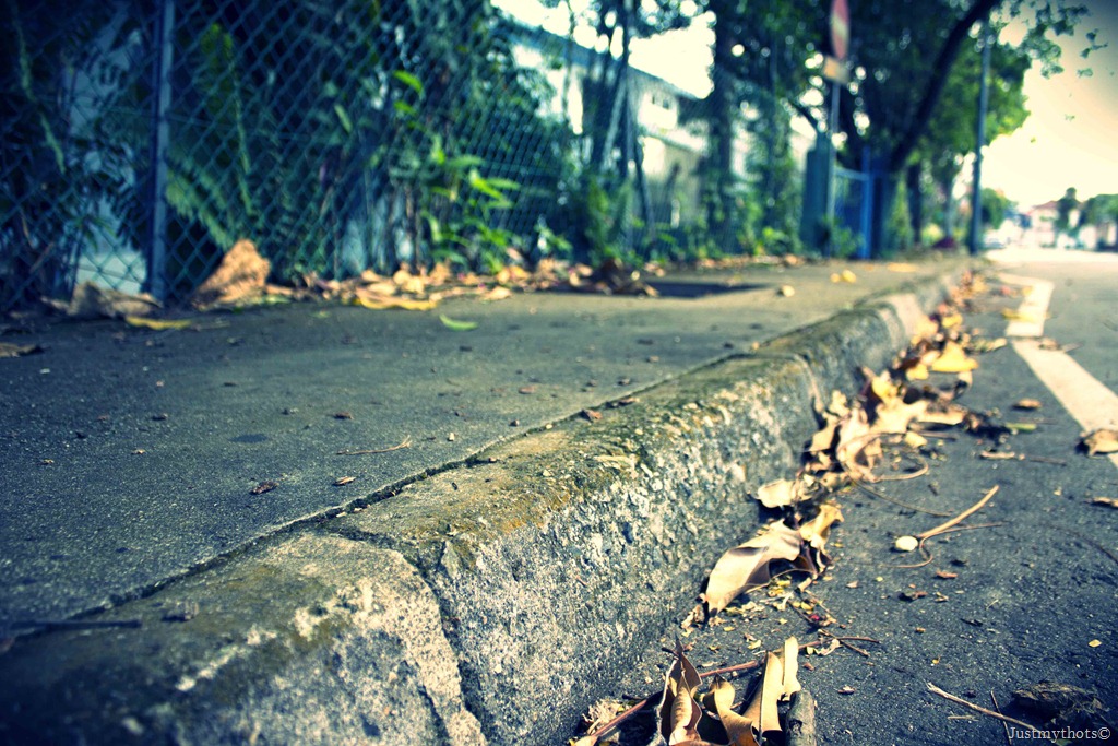 [IMG_6644%255B3%255D.jpg]