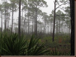 IMG_1096 IMG_1096