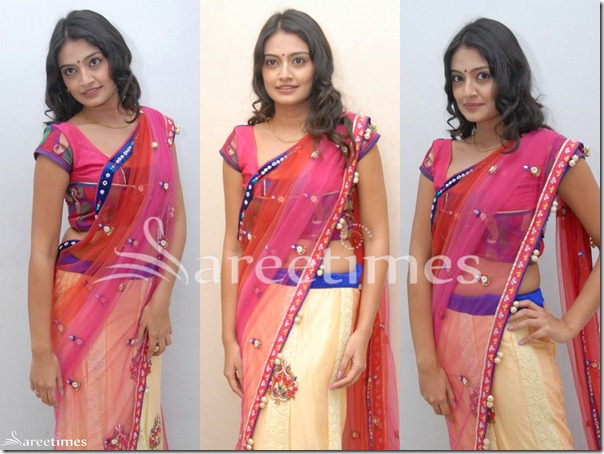Nikitha_Narayan_Saree