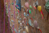 DSC_0483.JPG