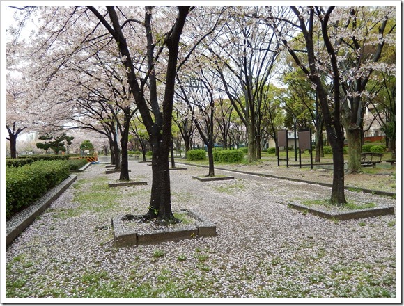 2013OsakaTrip_Day2_16