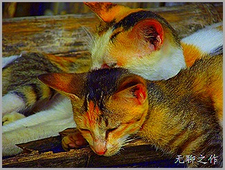 DSCF6825 DSCF6825