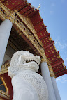 DSC00230.JPG