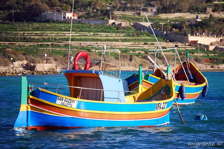 mar y tierra mar y tierra