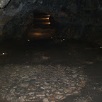 DSCF0708.JPG