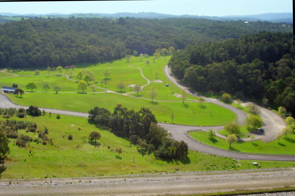 [cardina_picnicarea_photoreceptor%255B5%255D.jpg]