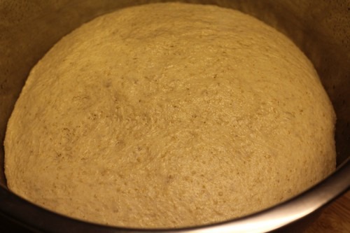[kimmelweck-rolls_00002%255B5%255D.jpg]