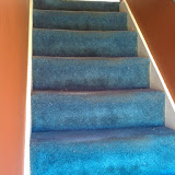 This is where I started. While vacuuming I decided that the carpet looked awful.