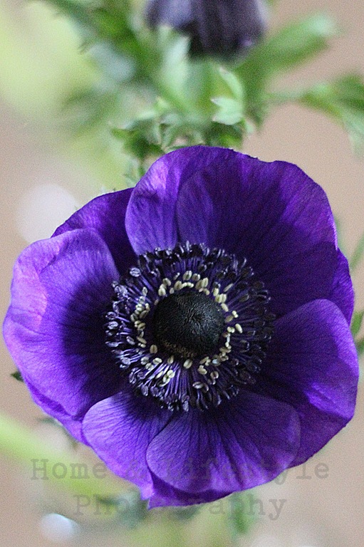 [IMG_6348a%255B3%255D.jpg]