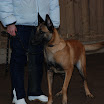 jan-feb 2010 103.JPG