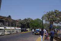 IMGP3233.JPG Photo