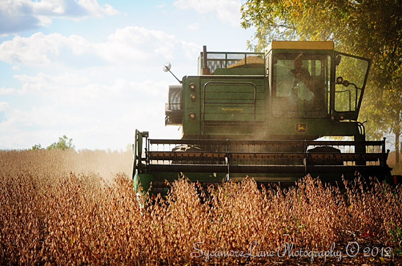 harvest-2012-1 SycamoreLane Photography
