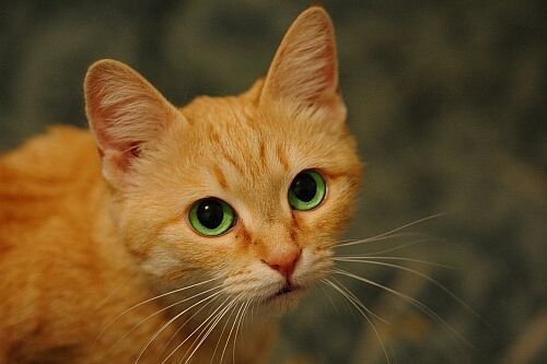 [clip_image001%5B4%5D.jpg]