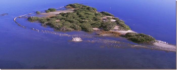 Pelican-Island-aerial-cropped-2270208_954x375