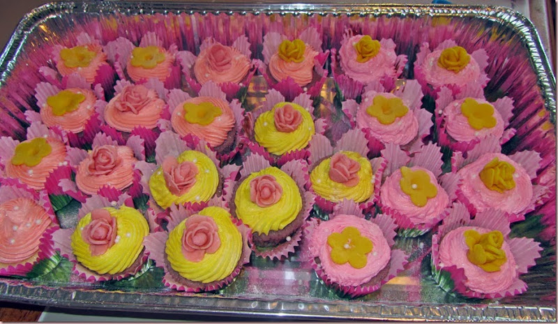 IMG_2530 IMG_2530