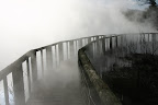 Steam-covered boardwalk, Rotorua Thermal Area