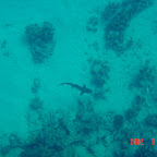 DSC00158.JPG