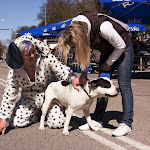 01.05.12 Tartu Kevadpäevad 2012 - Karsumm - AS20120501TKP_V029.JPG