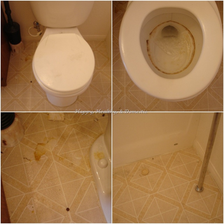[Boys-Bathroom-Toilet-Before3.jpg]
