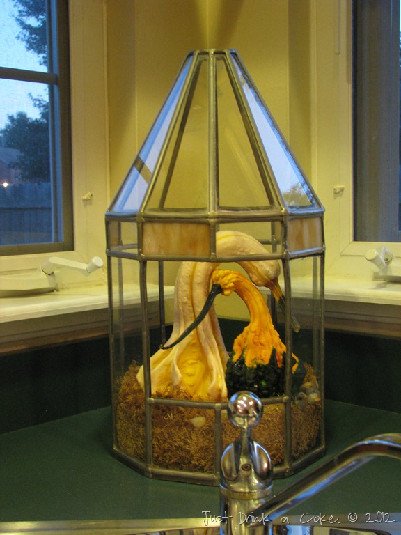 [lovebird%2520gourds%2520%25282%2529%255B4%255D.jpg]
