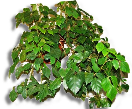 [%3E8F8AACA-%40%3E%3C18G5A%3A89%5B4%5D.jpg]