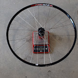image8.jpg