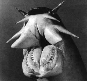 Show-102-Hagfish.jpg