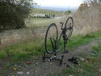 DSCN5421.JPG Photo