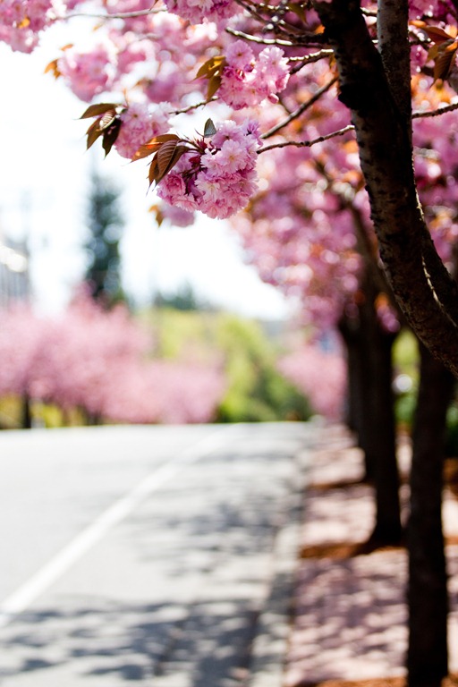 [20110501-IMG_85428.jpg]