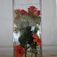 DSC06413.JPG