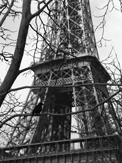 Film-120-#17--5