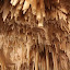 A Ceiling of Stalagmites - Waitomo, New Zealand