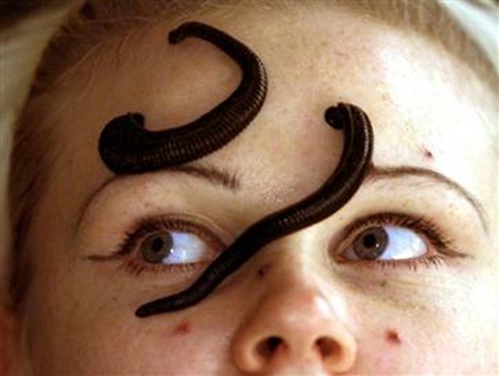 leech