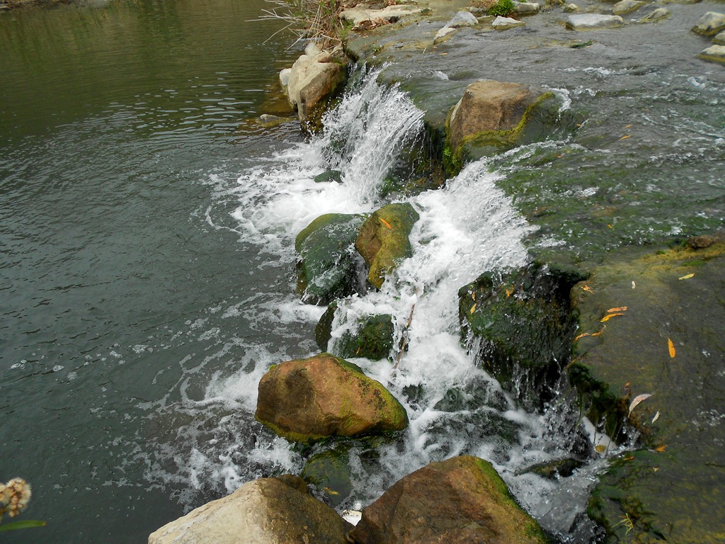 [DSCN22304.jpg]