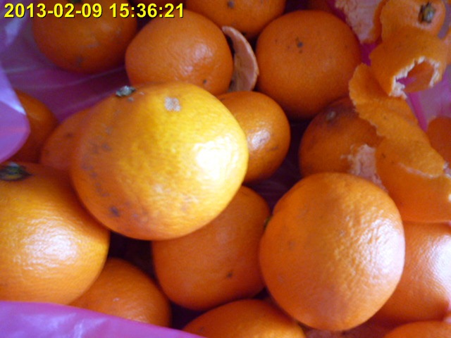 P1010064