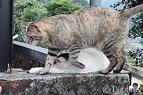 IMG_6143 IMG_6143